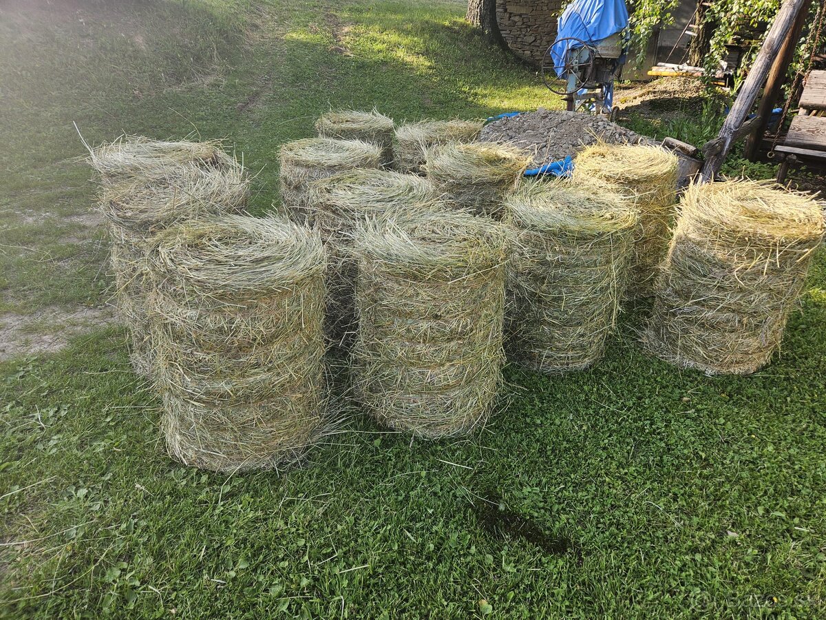 Predam balene lučne seno