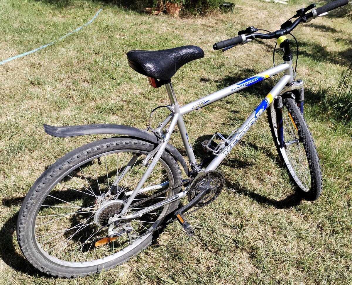 Horský bicykel Vektor