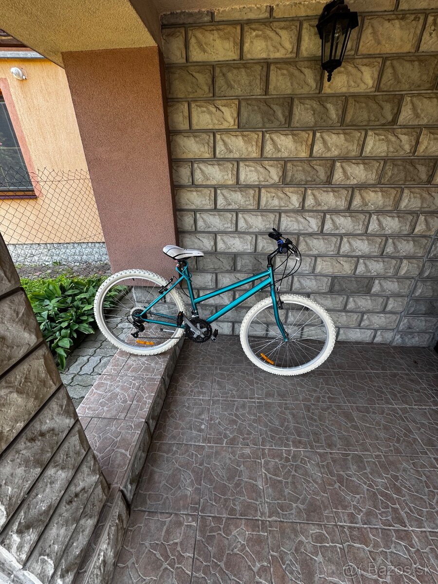 Horský bicykel