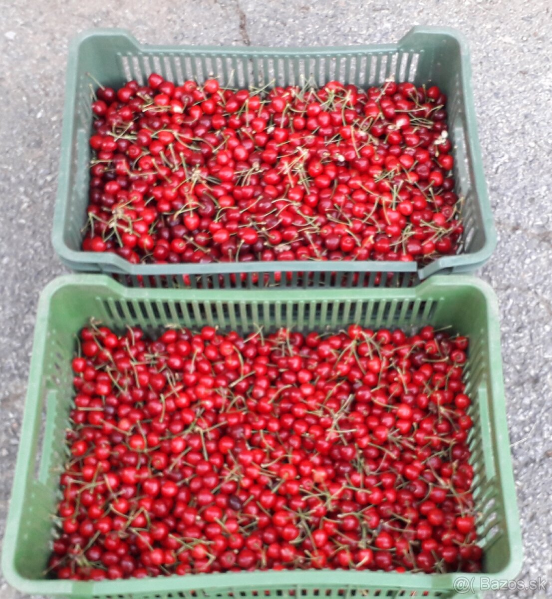 REZERVE-Čerešne 2,50 Eur/kg, BIO kvalita