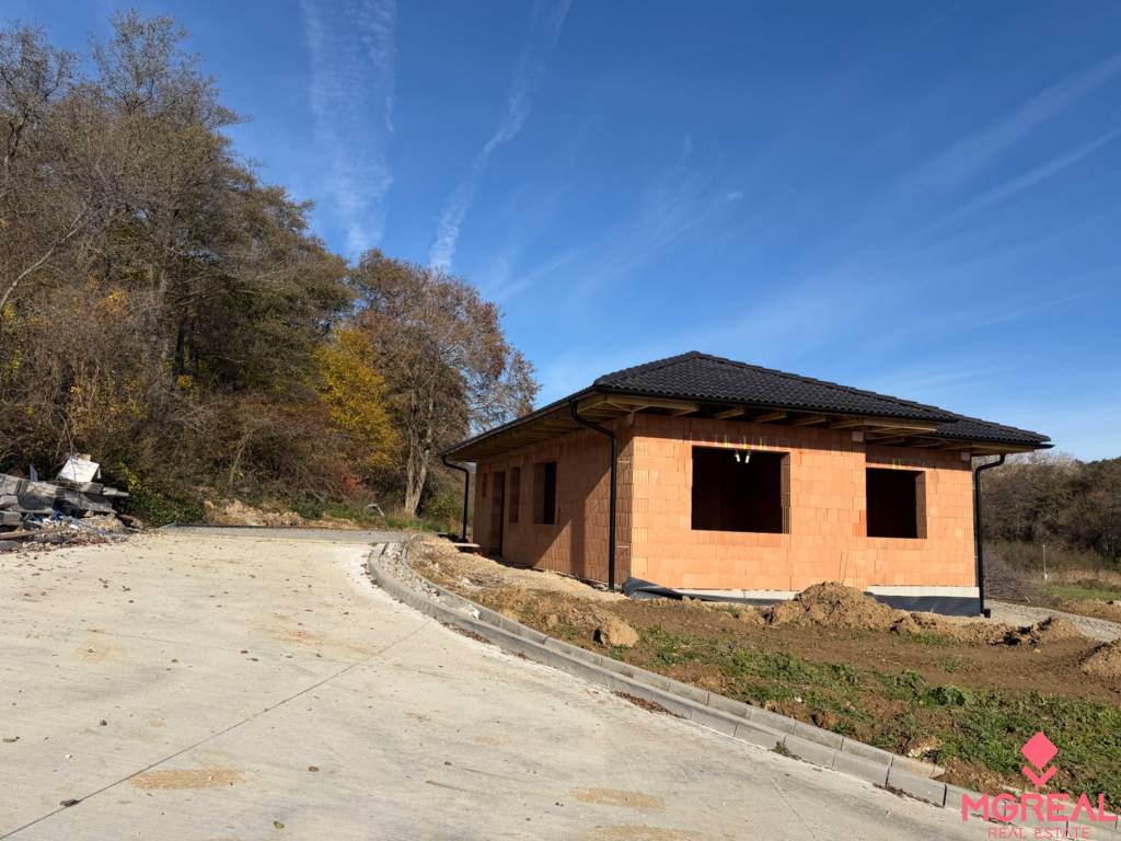 Novostavba Rodinný dom Bojna / dvojdom