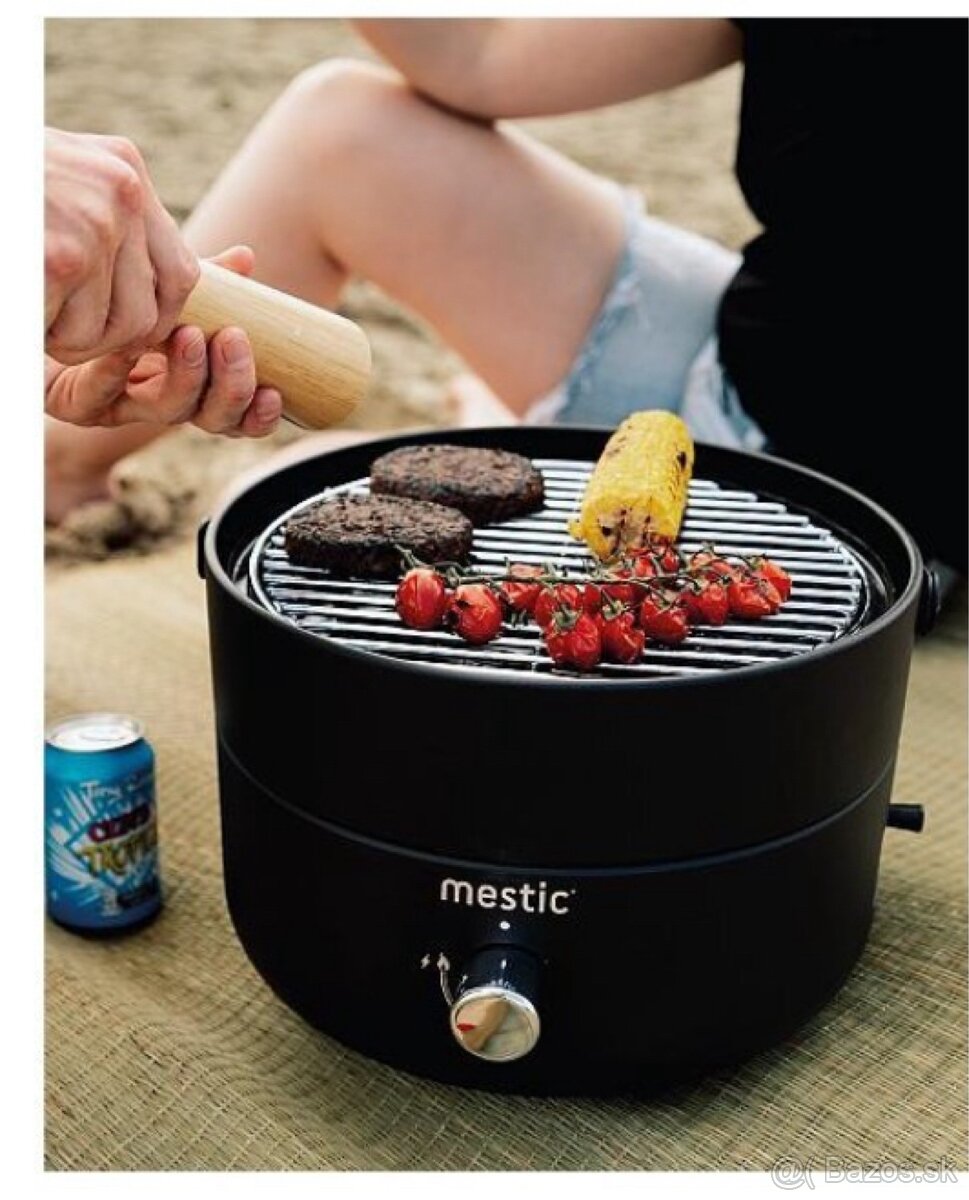 Gril mestic barbecue