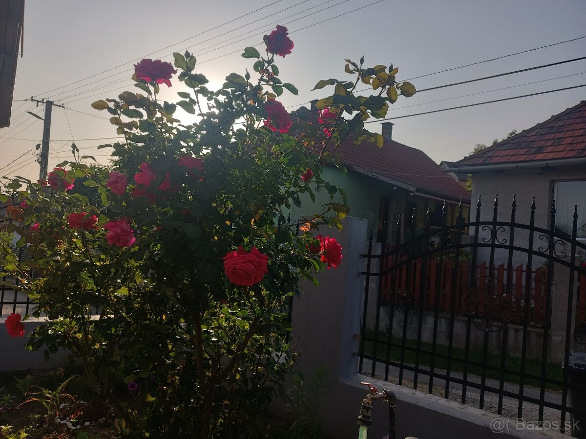 Na predaj