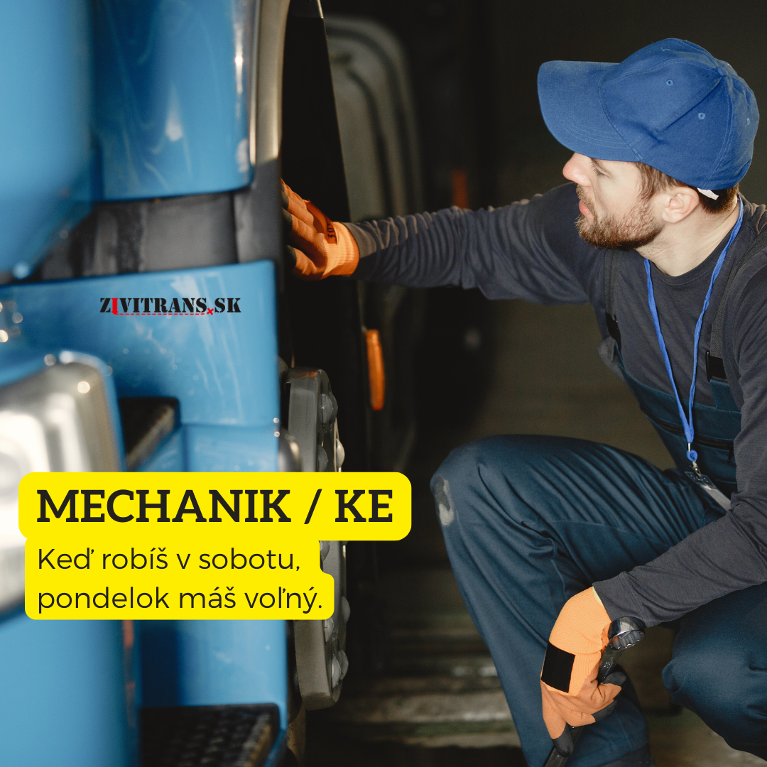Mechanik / autoelektrikár