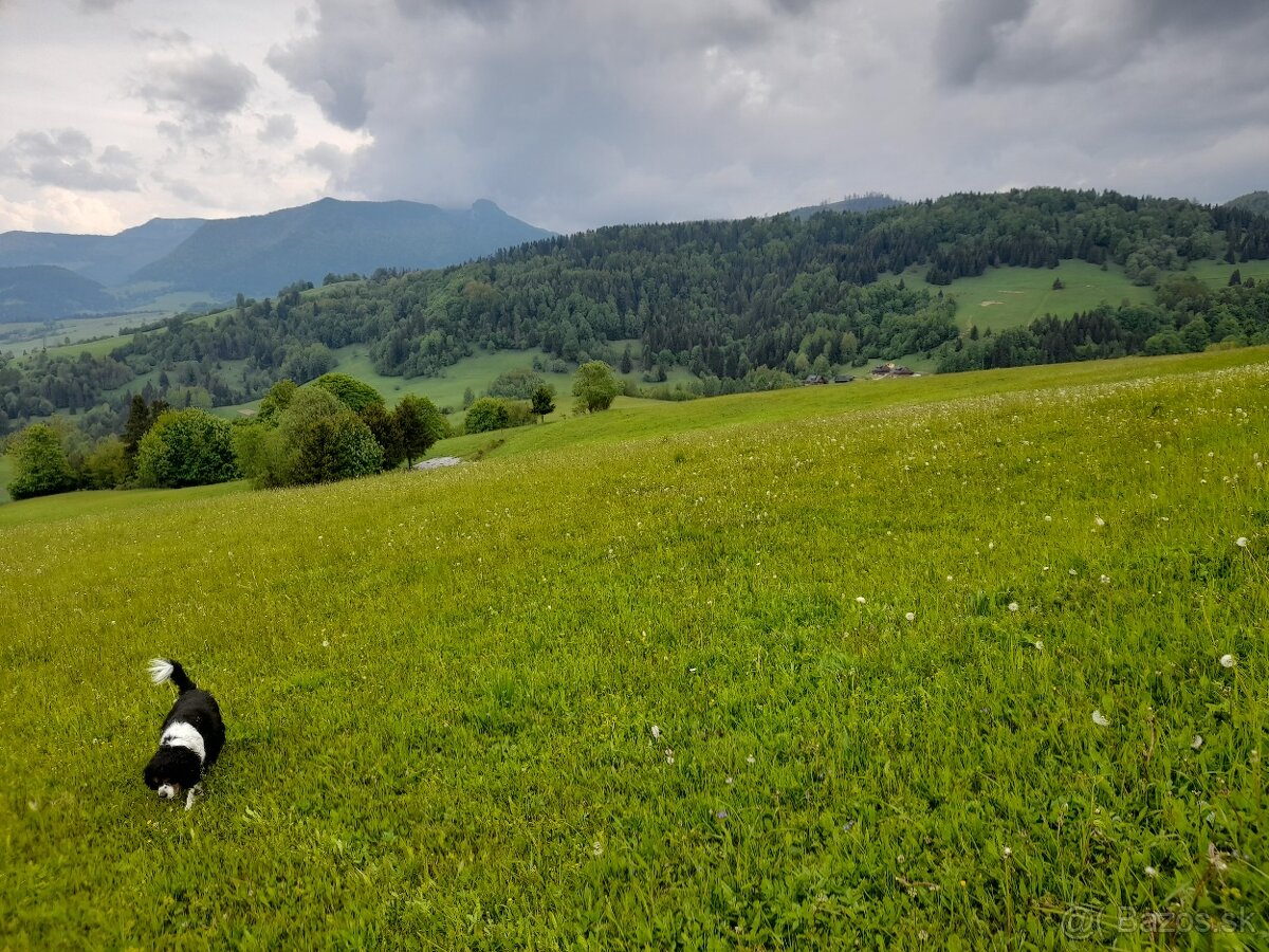 Rekreacny pozemok Zazriva