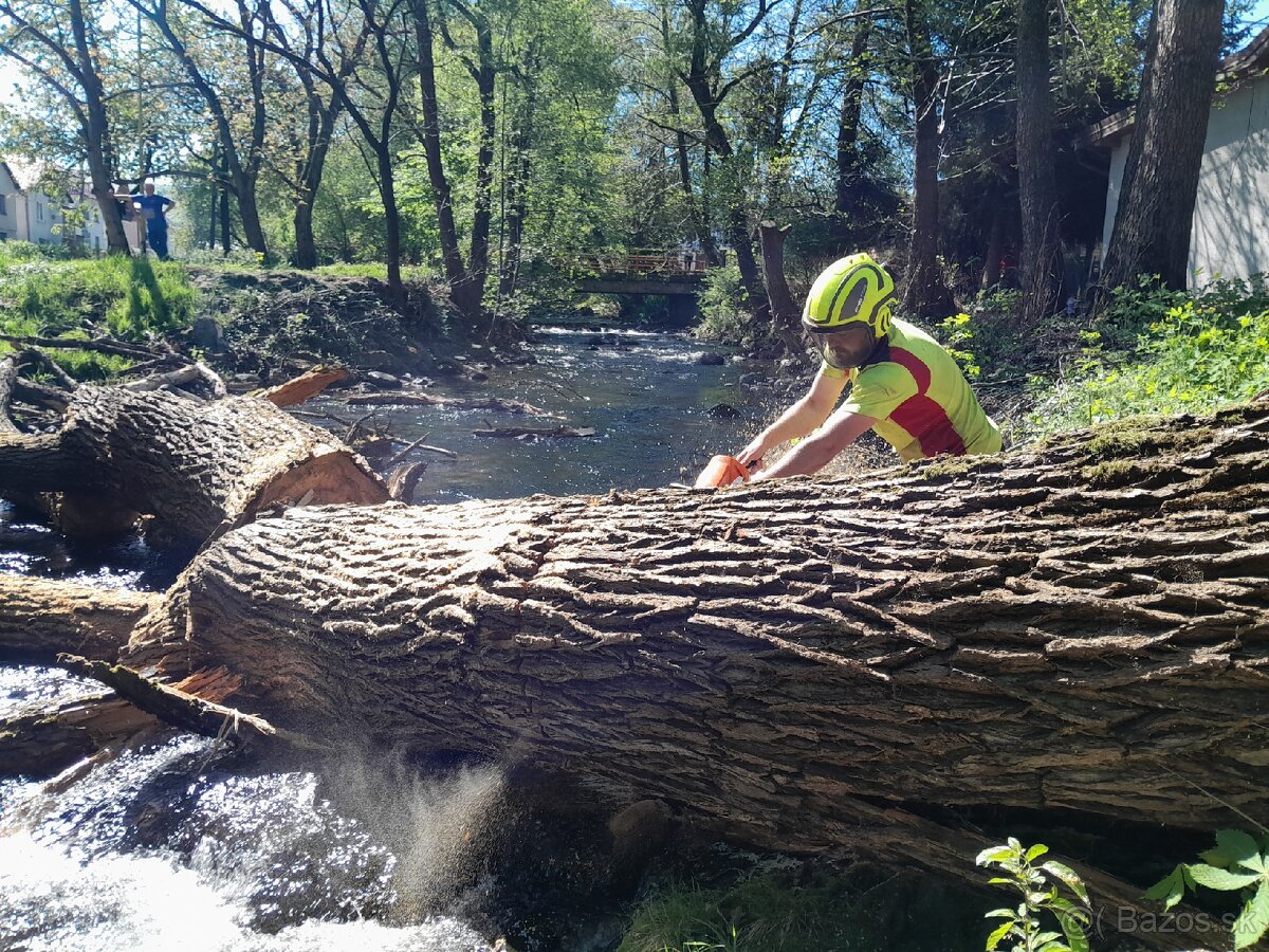 Výrub a rez stromov EastArbor