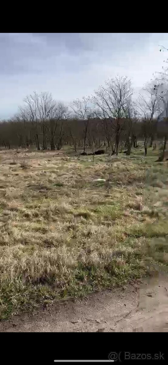 Stavebný pozemok Marcelová 1201m2