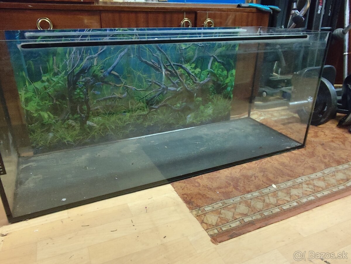 Predám akvarim