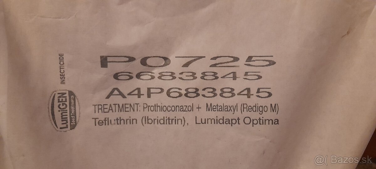 kukurica osivo