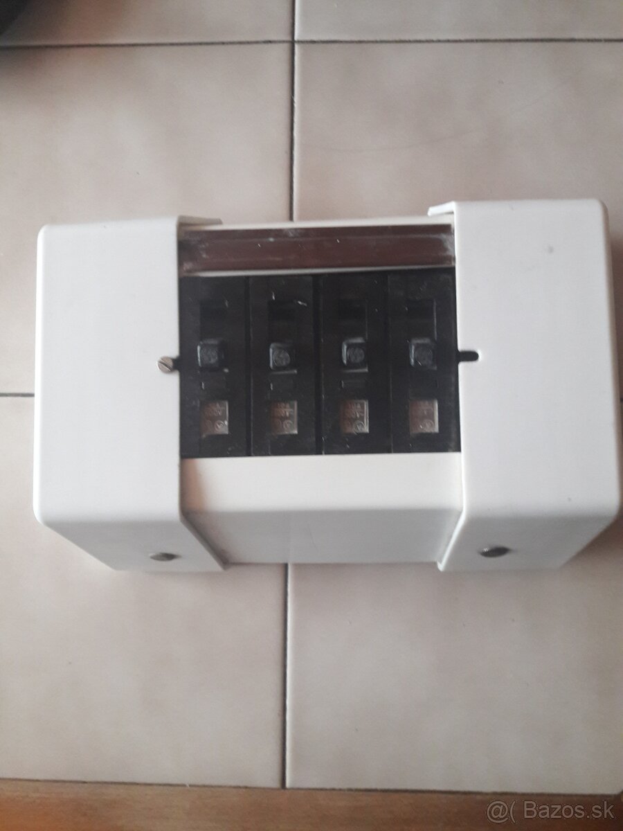 skinka s ističmi