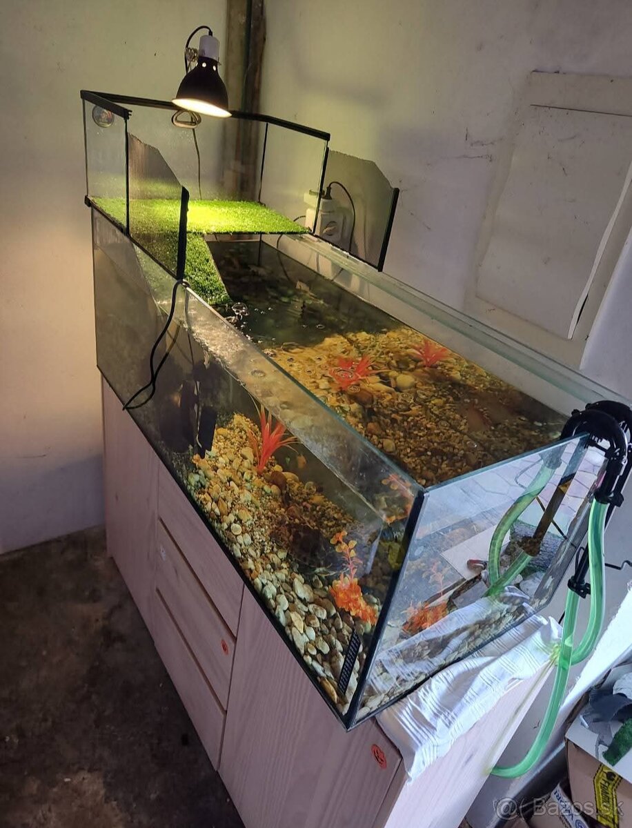 Akvárium z taratium na vrhu aj externý filter rybky a prísav