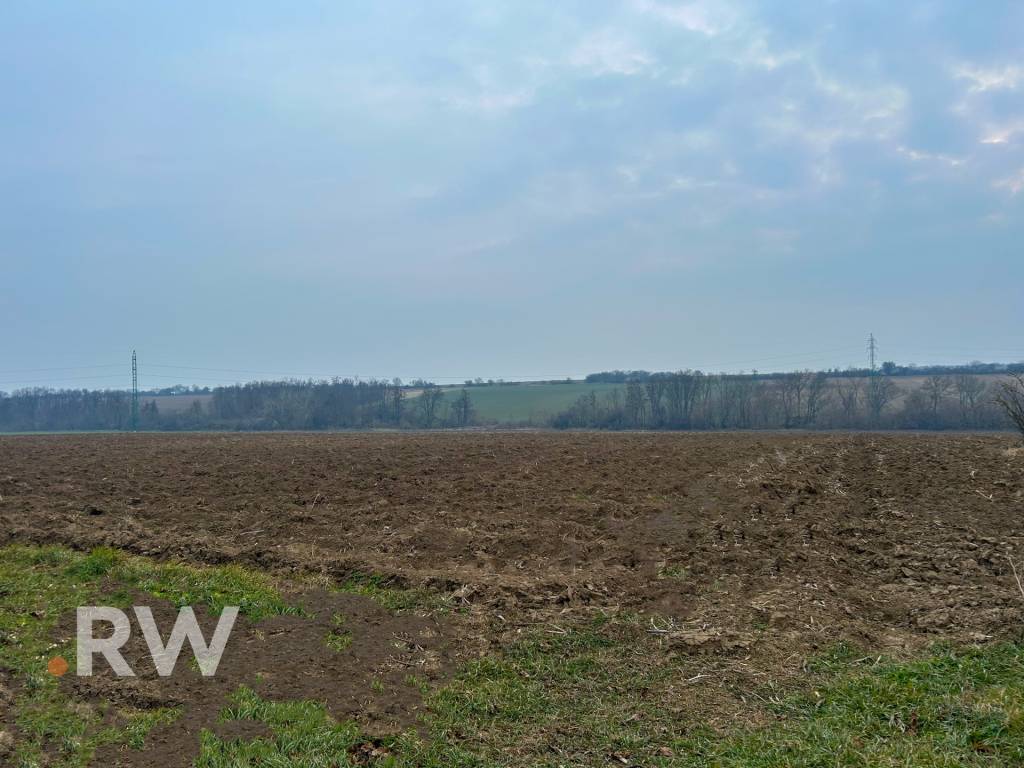REWIN I na predaj - orná pôda v obci Vištuk