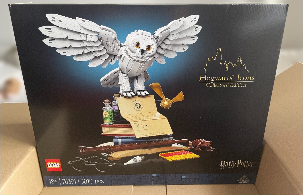 LEGO 76391 Harry Potter Rokfortska vybava