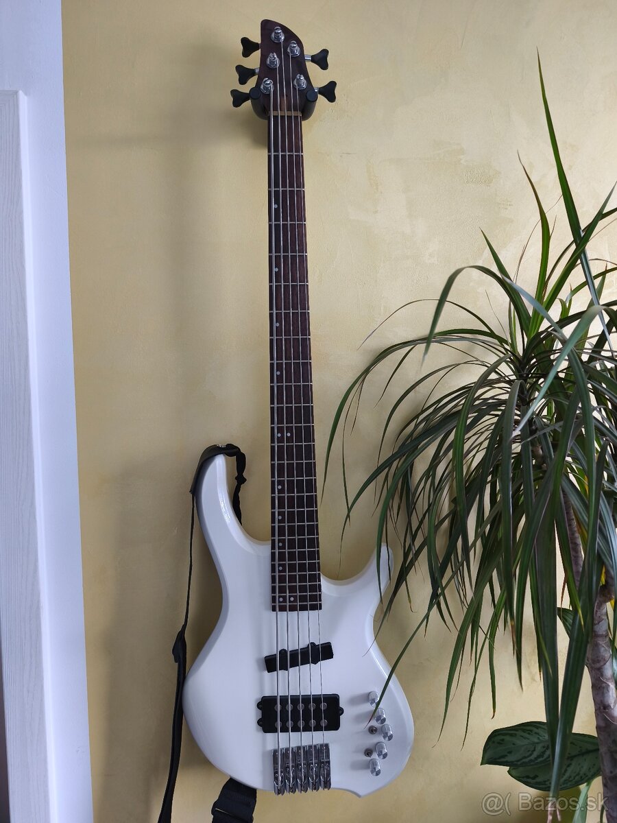 Predám basgitaru