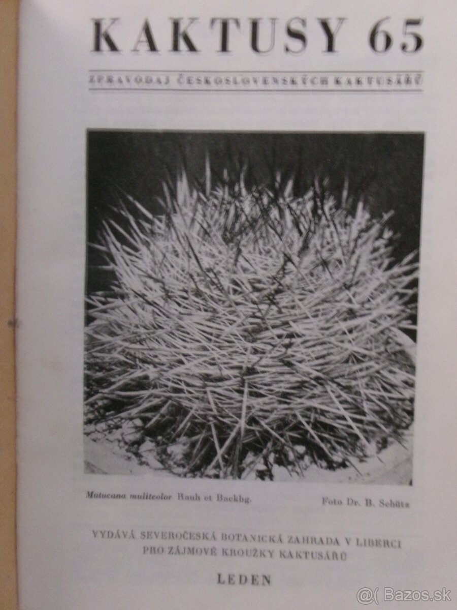 Kaktusy 1965 - 1985 - viazané časopisy.