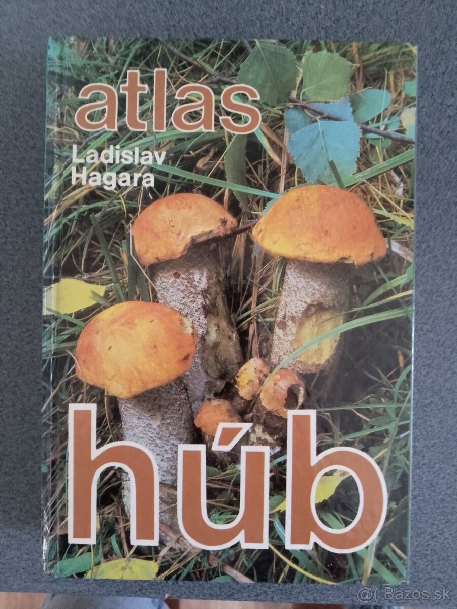 Atlas húb