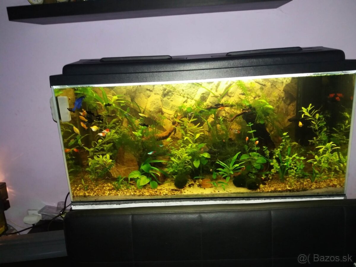 Akvarium 160 litrov