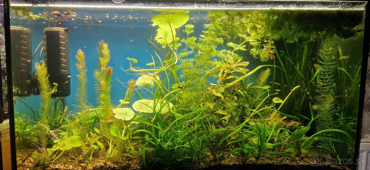 Akvárium 126l