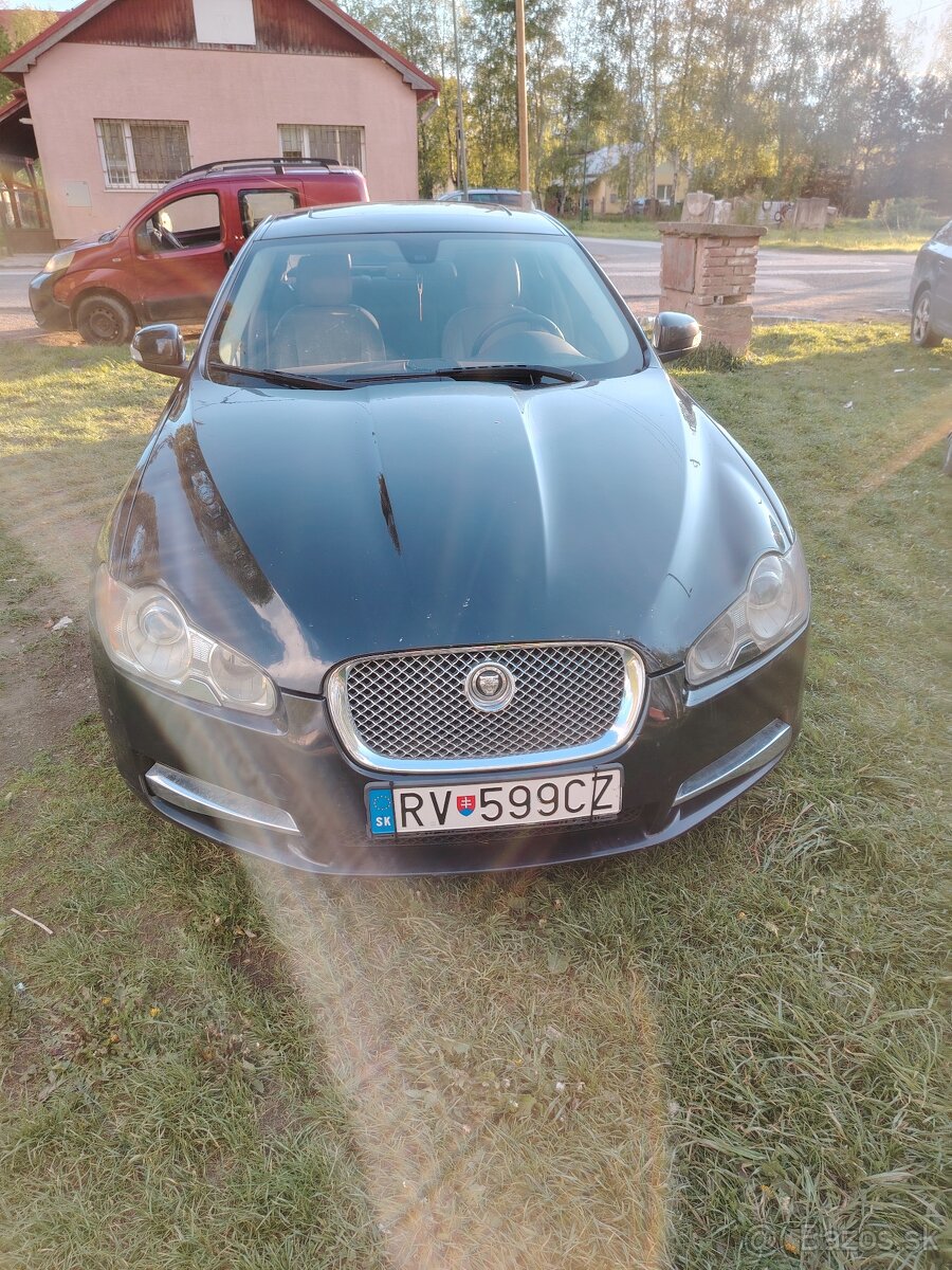 Jaguar