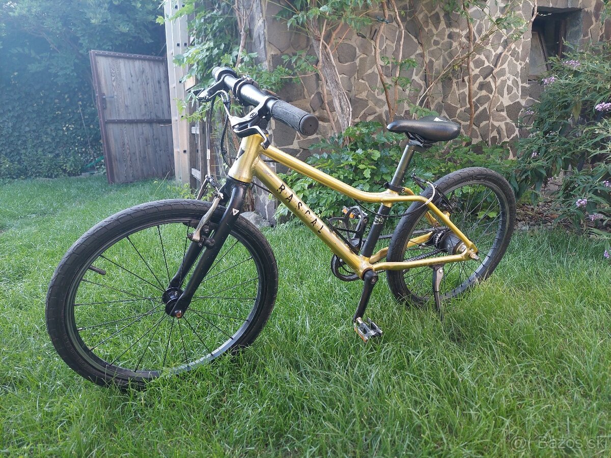 Rascal 20"
