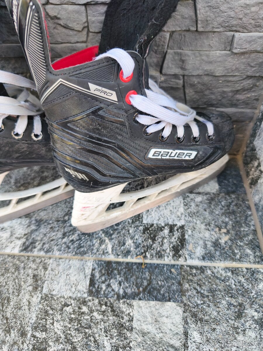 Korčule Bauer PRO