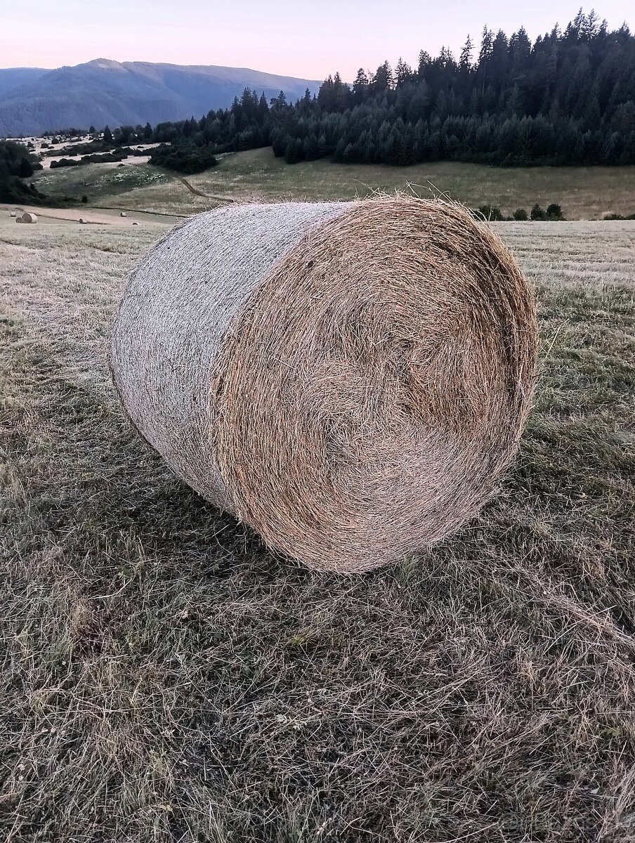 Predám seno