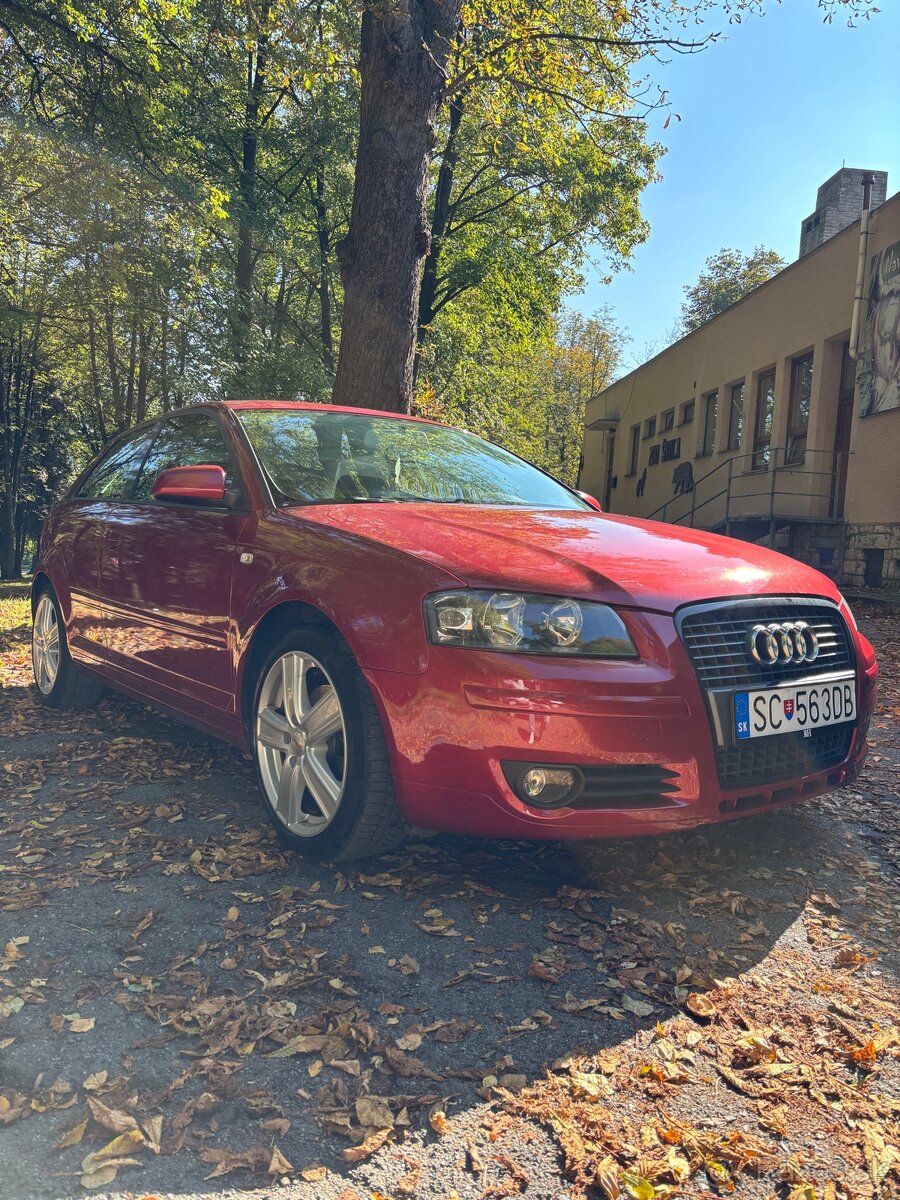 Audi A3 8P 2.0 TDI