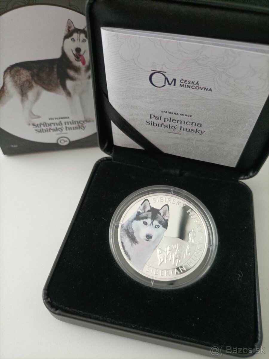 Strieborna minca sibirsky husky
