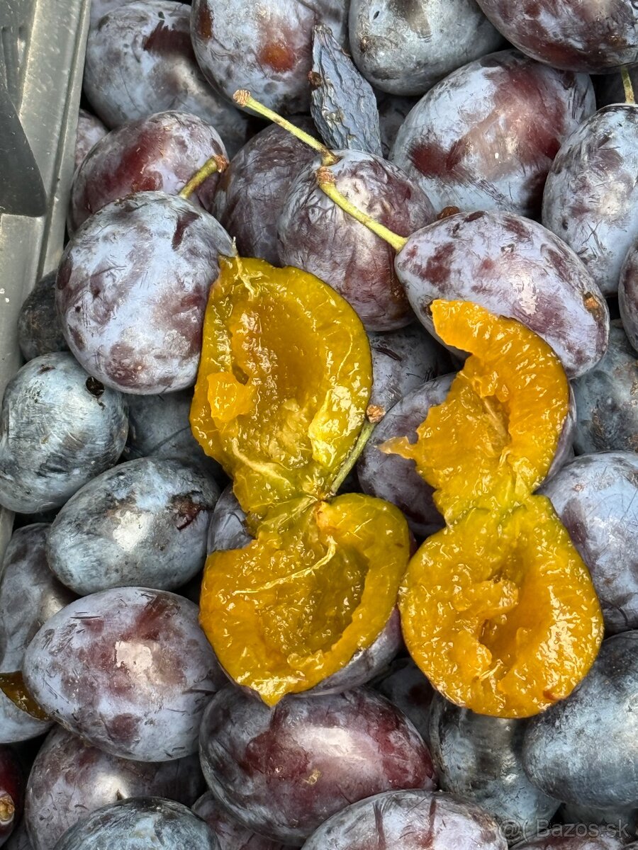 SLIVKY NA KVAS 0,45€/kg