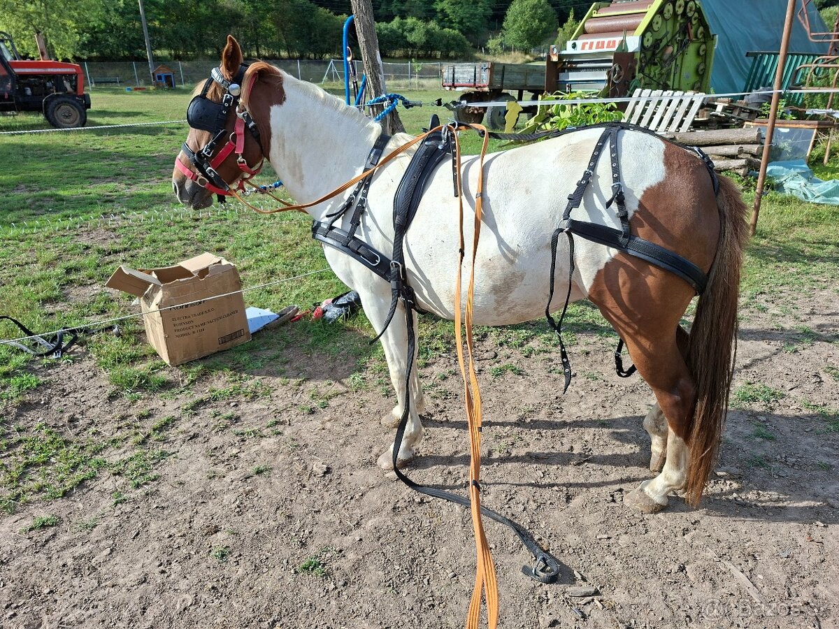 Poprsný postroj pony