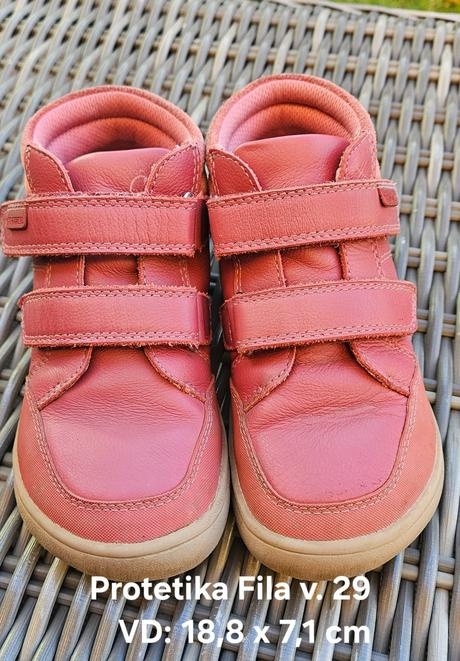 Protetika celorocky v. 29