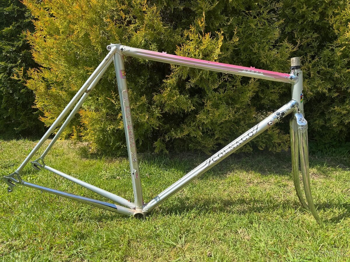 Colnago Arabesque Regal