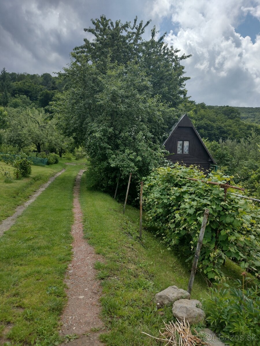záhrada s chatou