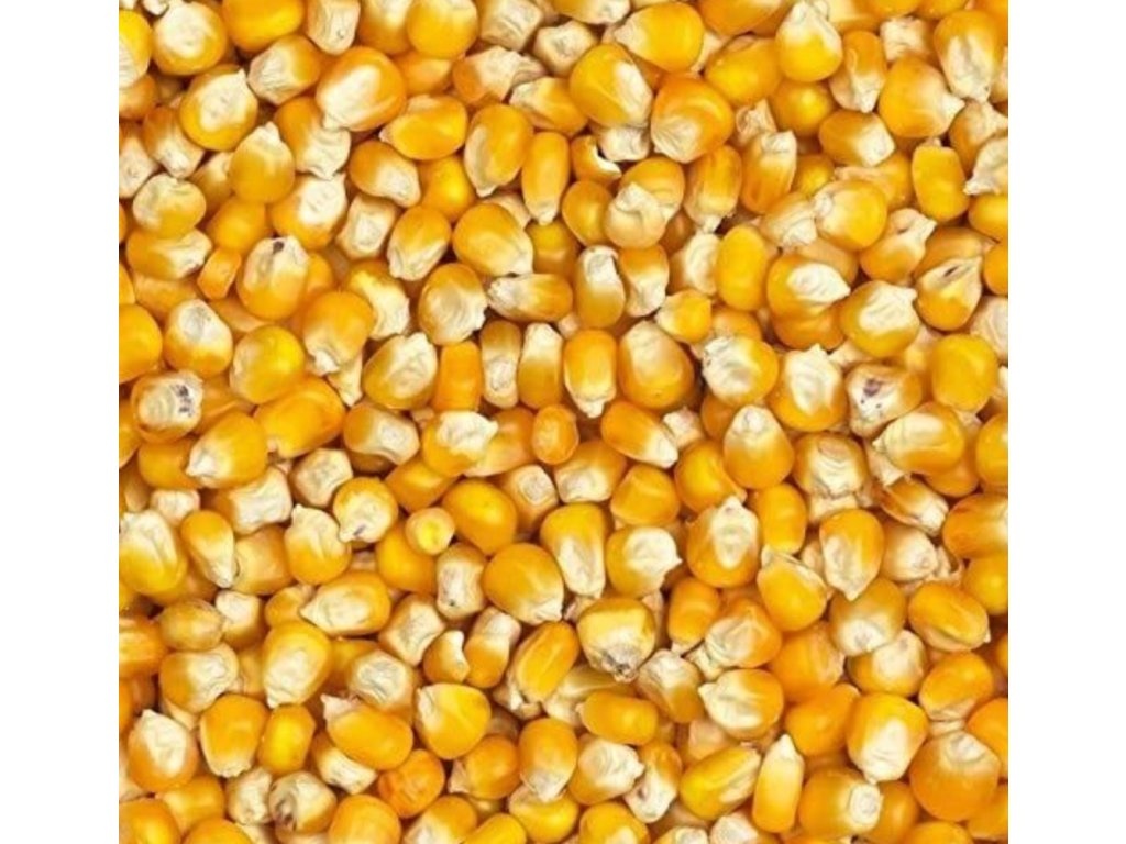 Ovos , kukurica, vika