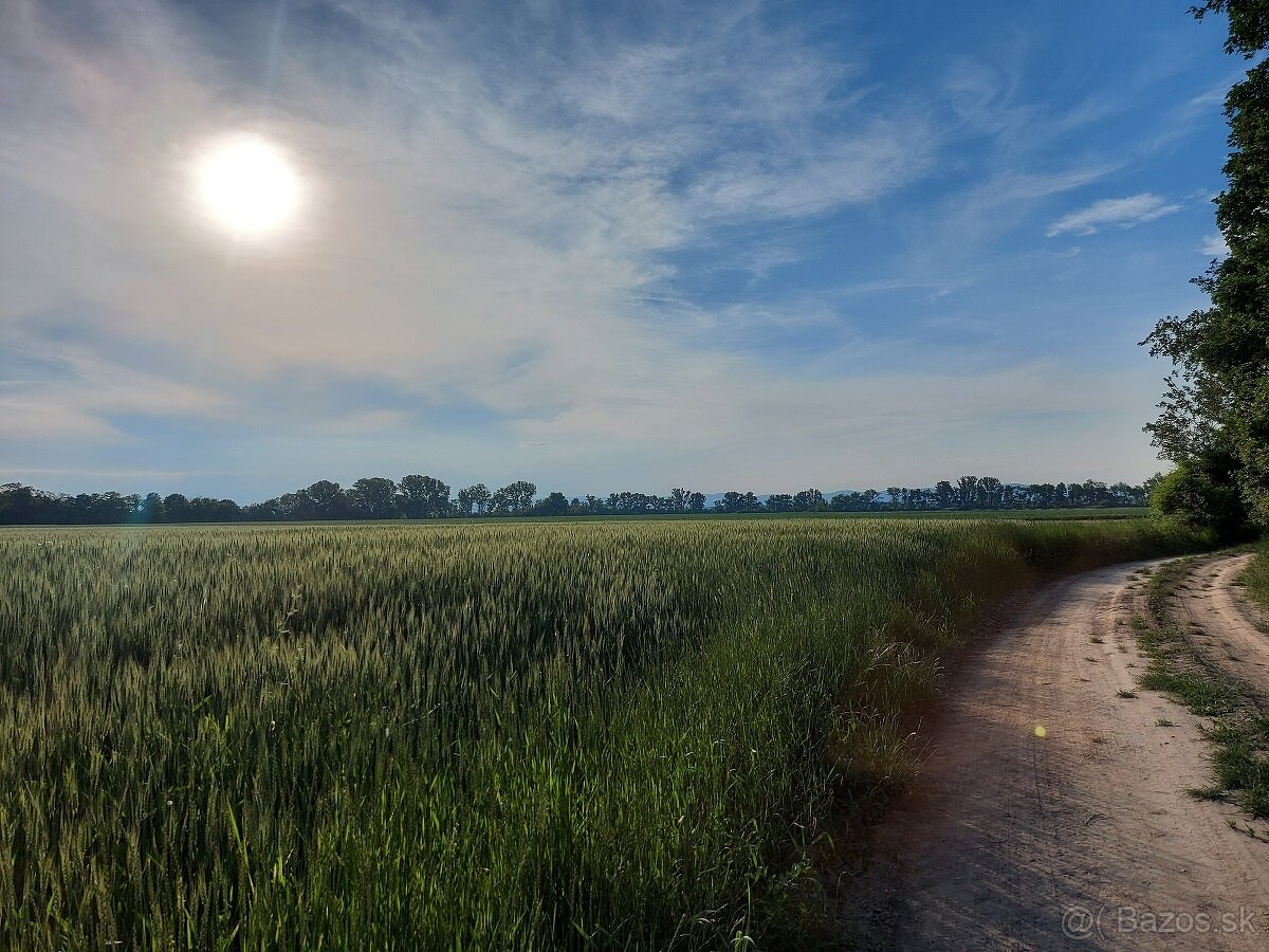 PREDAJ - investičný pozemok- 54600 m2- pri Senci