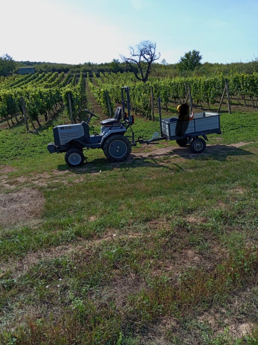 Vinica v tokajské oblasti