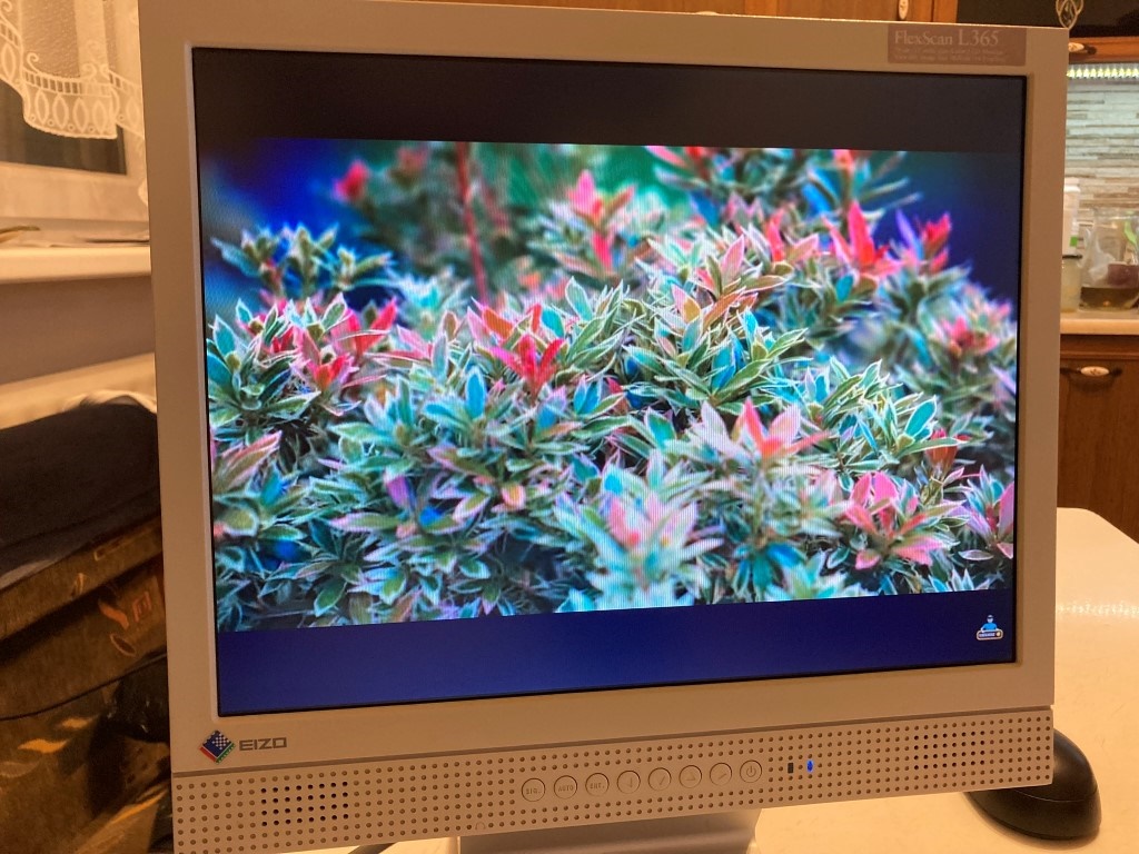 Predám monitor EIZO FLEXSCAN L365 D-SUB, DVI, ZVUK