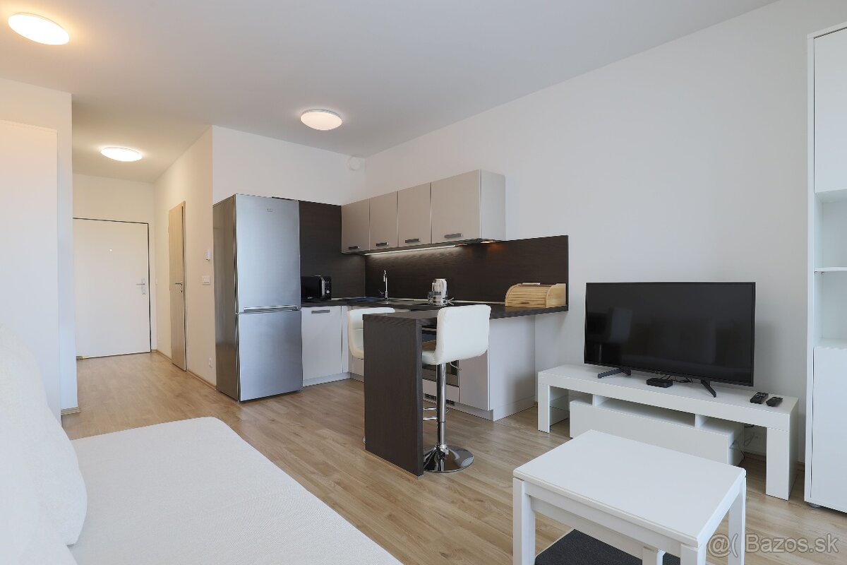 1 izb byt Nový Ružinov