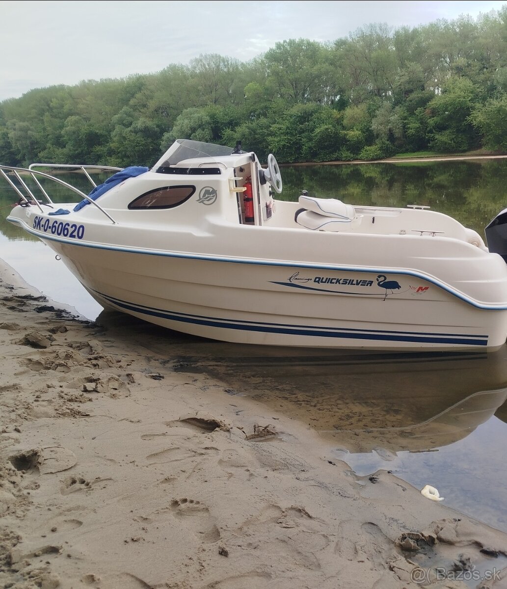 Quicksilver flamingo