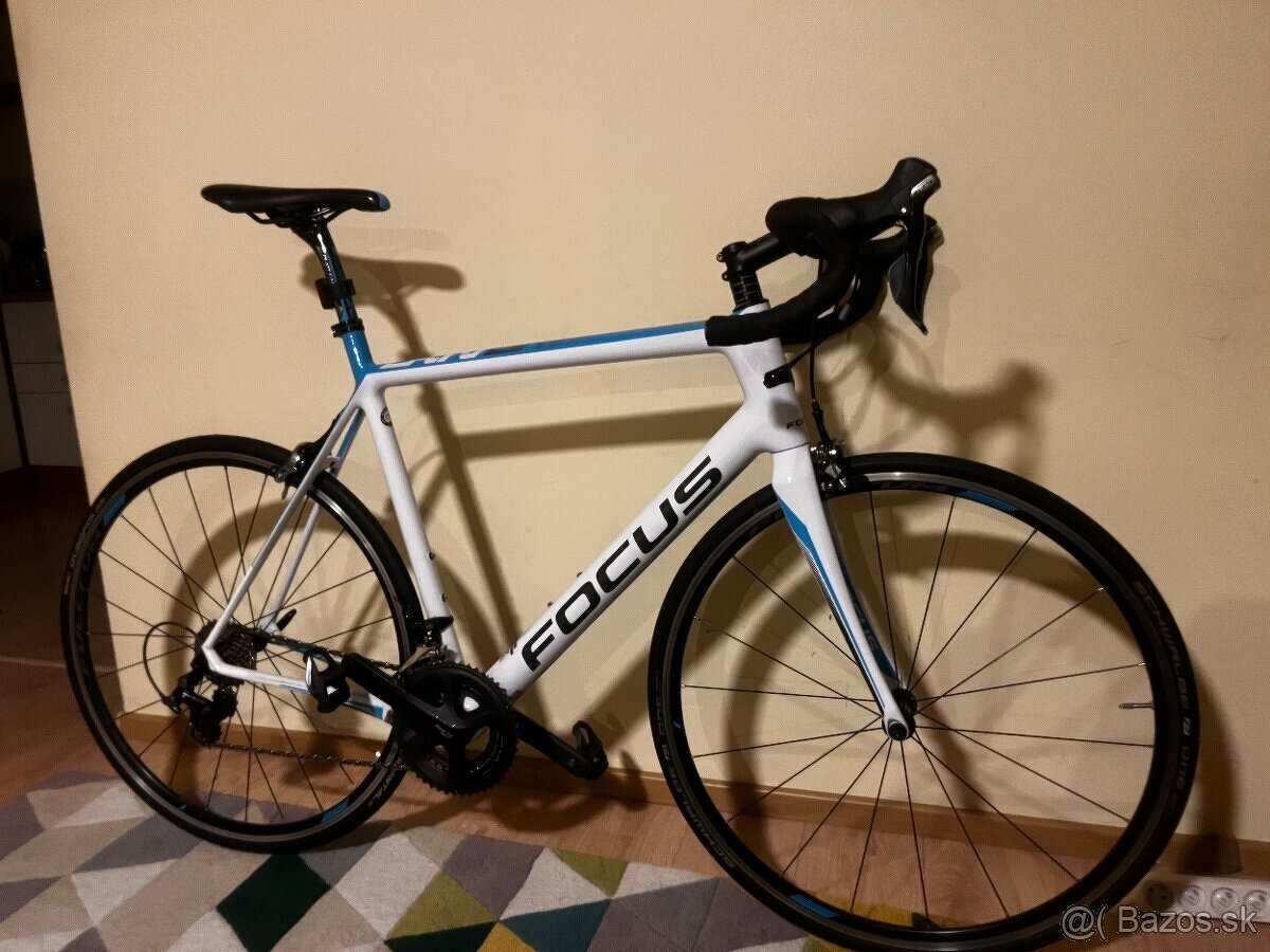 FOCUS Cayo XL