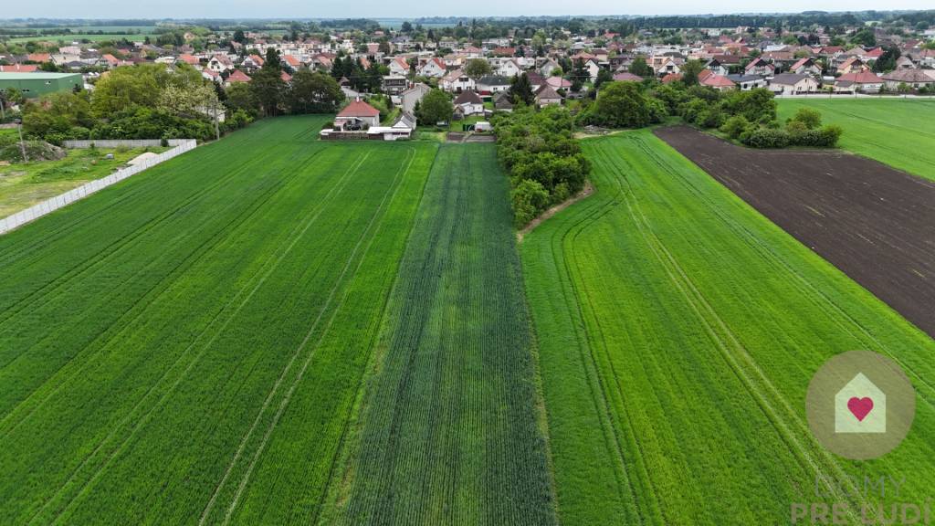 Veľký priestranný pozemok o rozlohe 7745 m2 s RD, Jelka