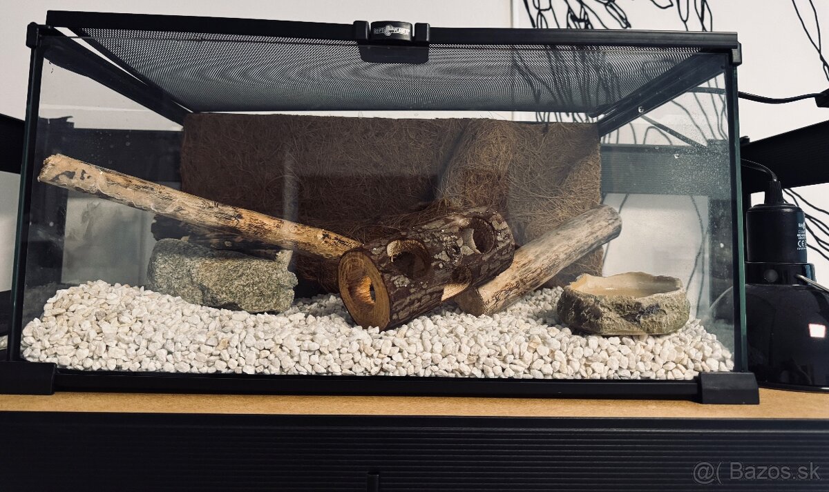 predam terarium