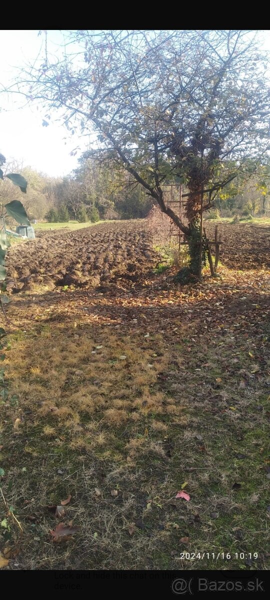 Záhrada - orná pôda na prenájom - okres Šaľa, obec Hájske