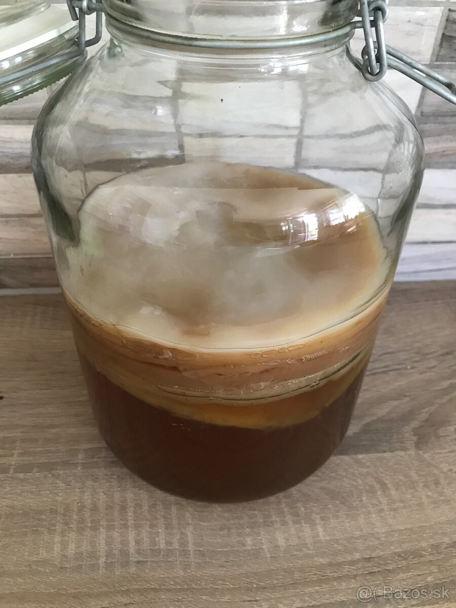 Kombucha