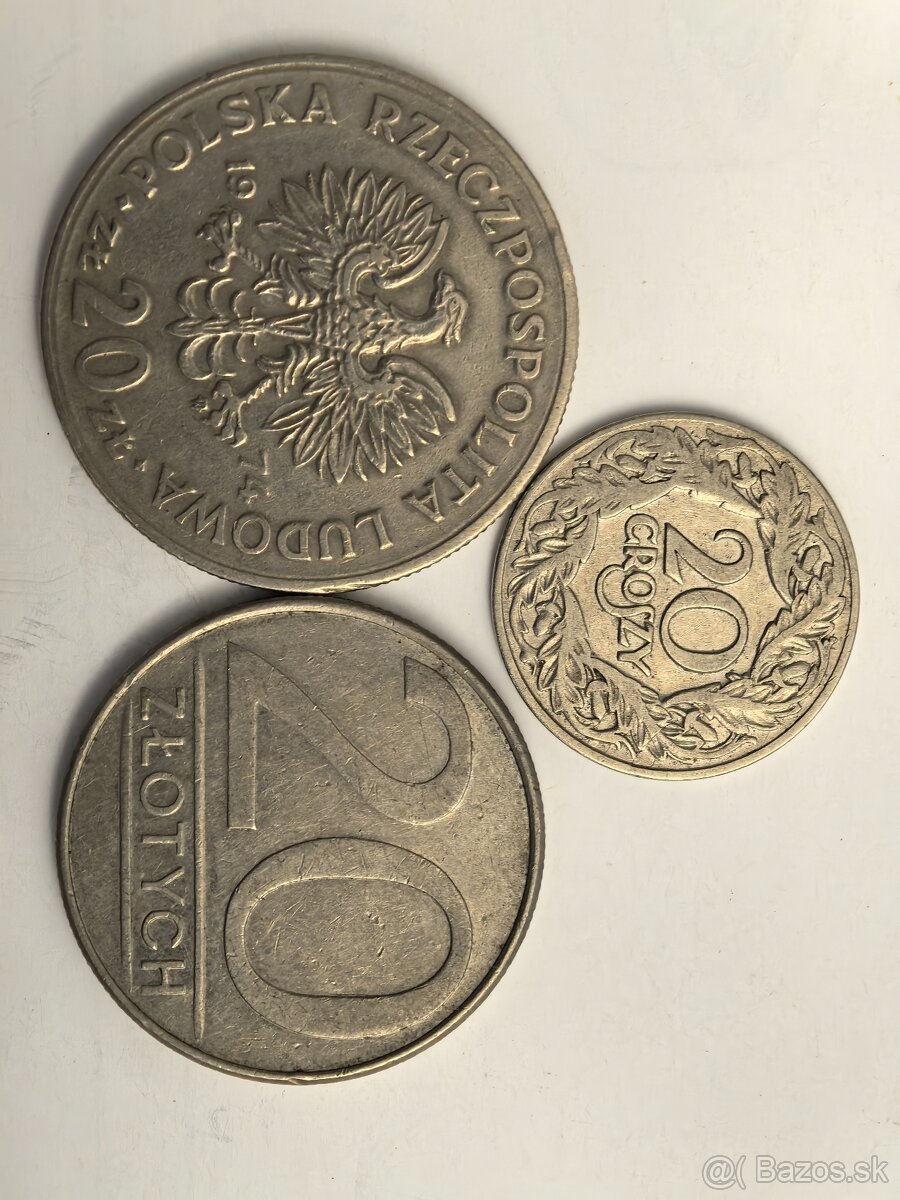 Mince Polsko