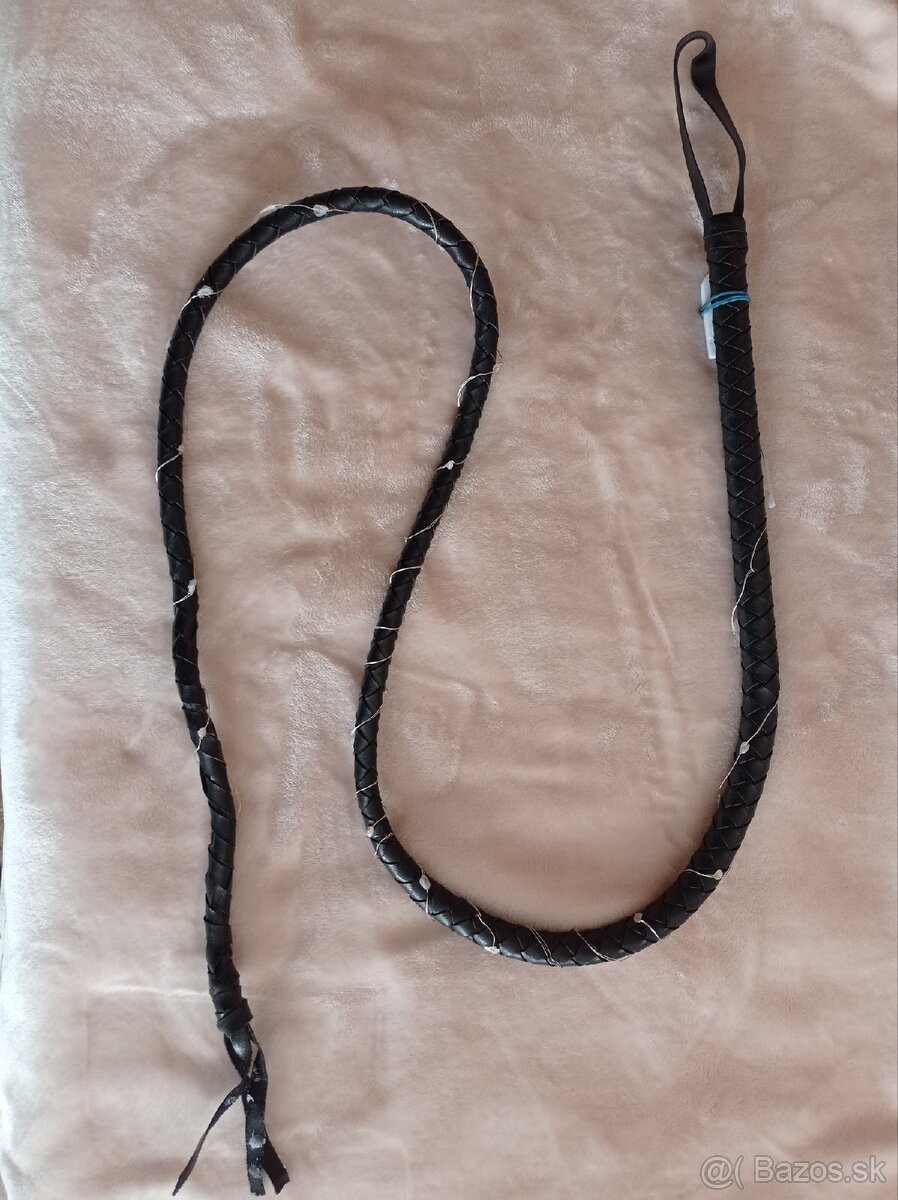 Biče kovbojske karneval