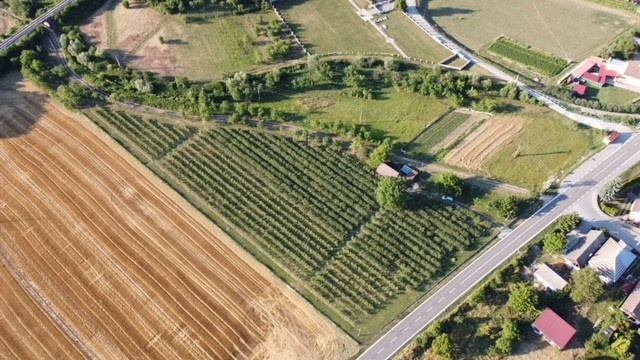 oplotený ovocný sad s elektrinou a studňou