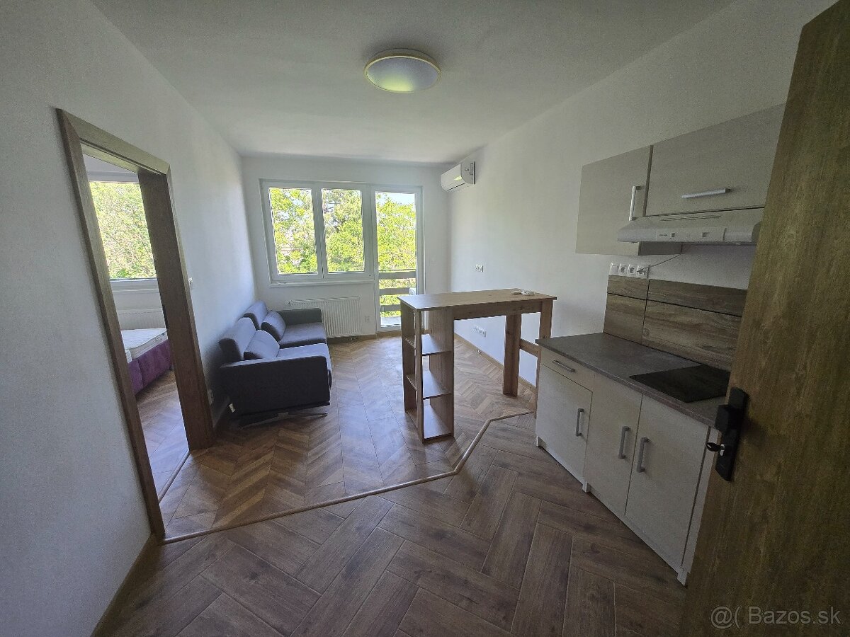 Veľký jednoizbový byt na Čermáni v Nitre