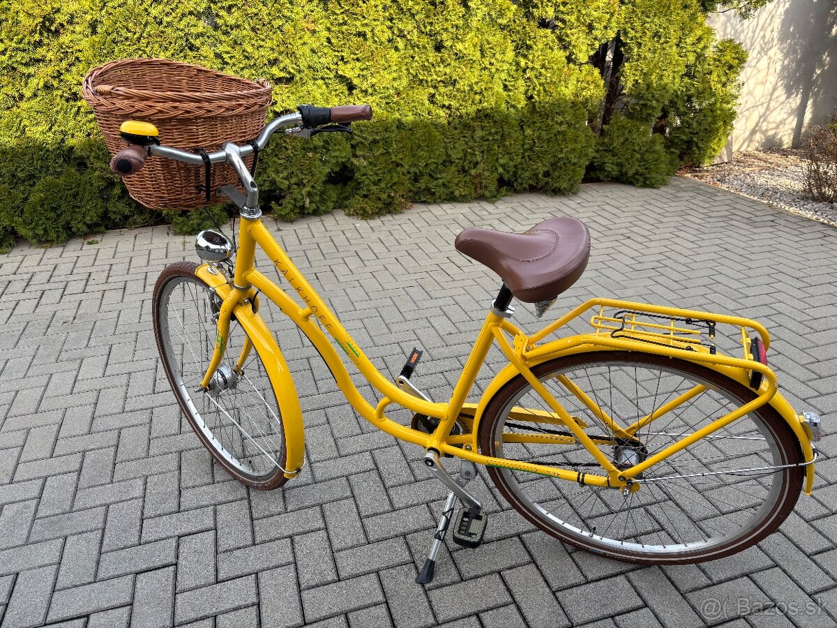 Damsky retro bicykel