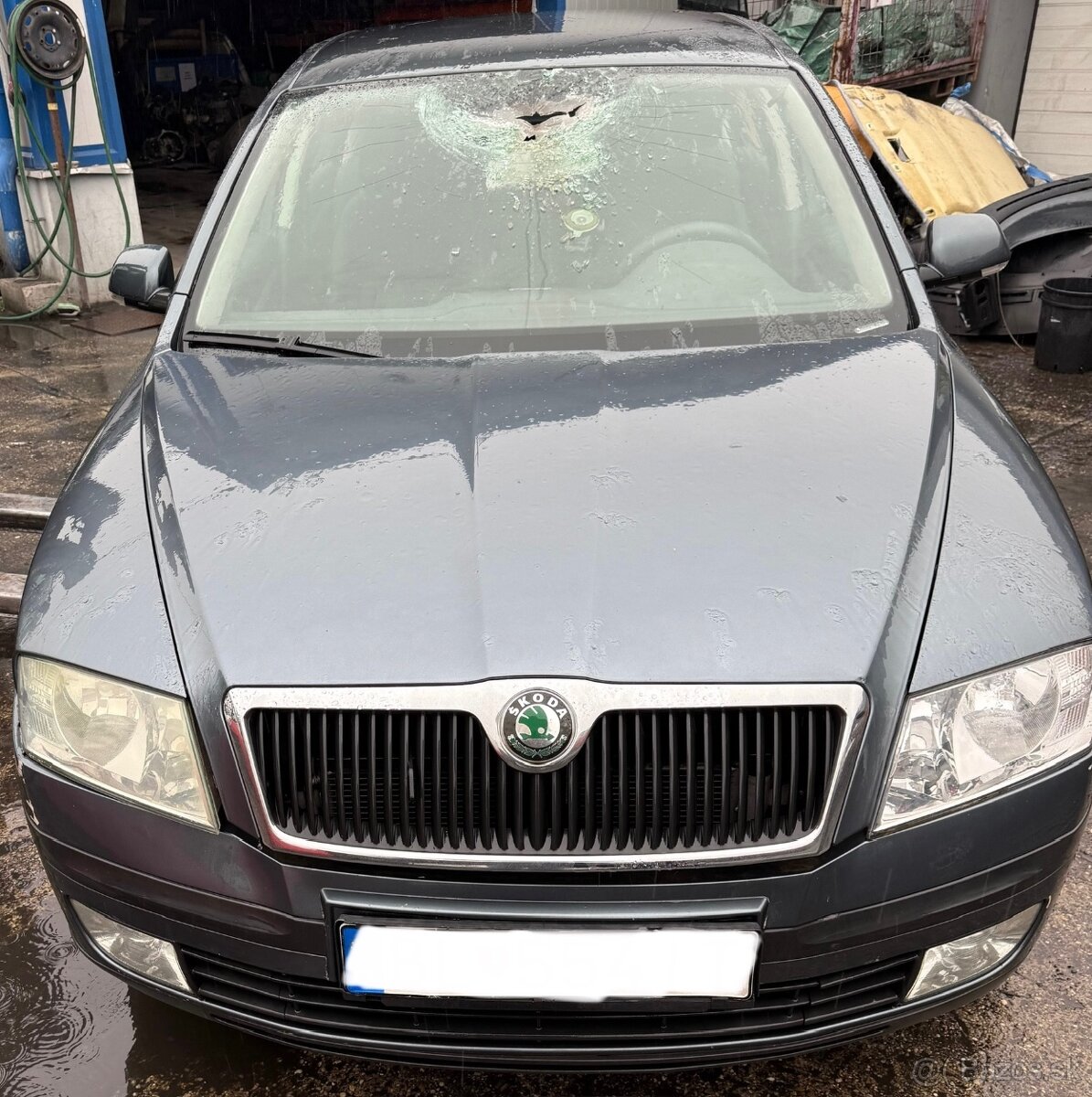 Skoda Octavia II 1,9TDi